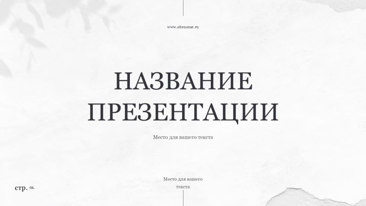 Белый шаблон презентации 5