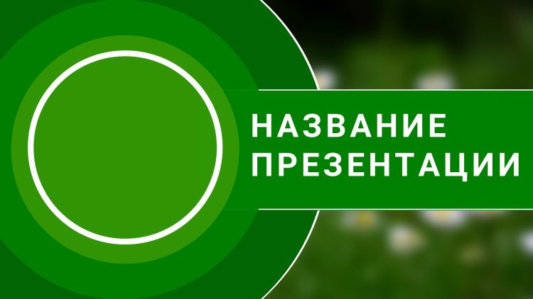 зеленый шаблон презентации #3