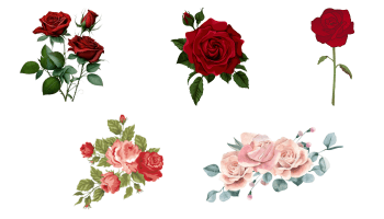 Иконки Роза