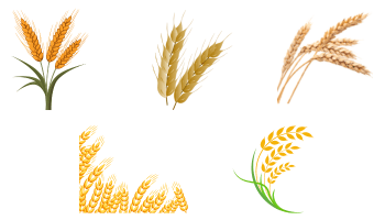 Иконки Пшеница