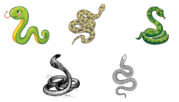 Иконки Змея