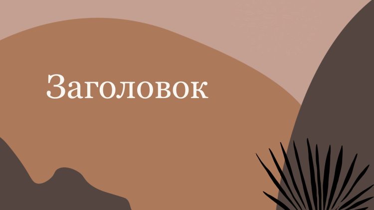 Коричневый шаблон презентации #12 - Универсальный