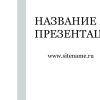 Светлый шаблон презентации #12 - Универсальный
