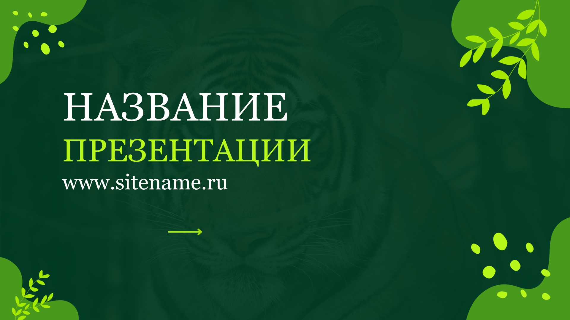Зеленый шаблон презентации #13 - Универсальный