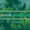 Зеленый шаблон презентации #6 - Универсальный
