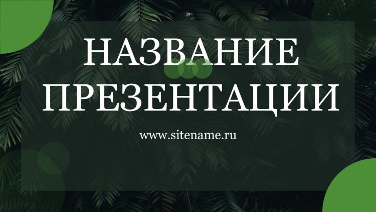 Зеленый шаблон презентации #8 - Универсальный